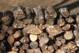 Firewood